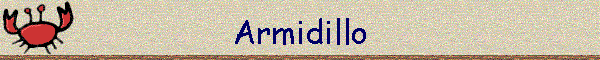 Armidillo