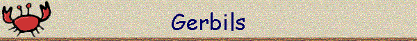 Gerbils