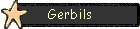 Gerbils