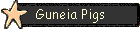 Guneia Pigs