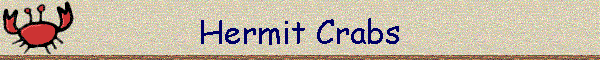 Hermit Crabs