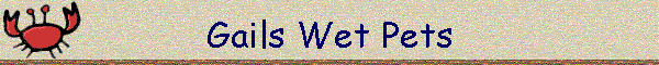 Gails Wet Pets
