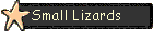 Small Lizards