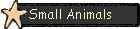 Small Animals