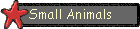 Small Animals