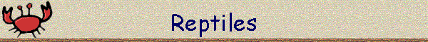 Reptiles