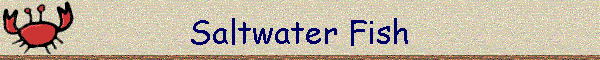 Saltwater Fish