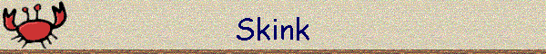 Skink