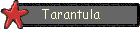 Tarantula