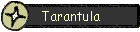 Tarantula